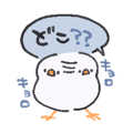 850576163