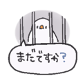 850576164
