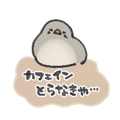 850576165