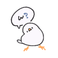 850576174