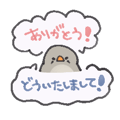 850576177
