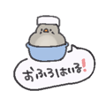 850576186