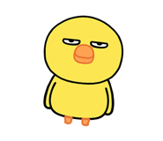 850579040
