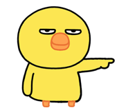 850579047
