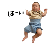 850580840