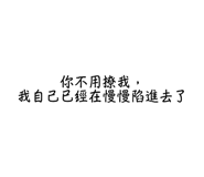 850582628