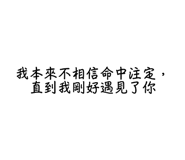 850582641