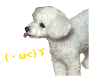 850584171