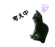 850584859