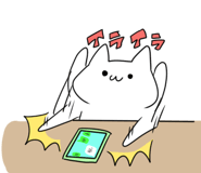 850586404