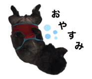 850590279