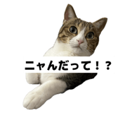 850590367