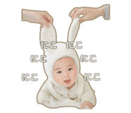 850590611