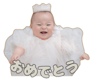 850590623