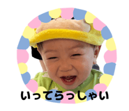 850598629