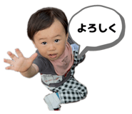 850598635