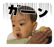 850598637