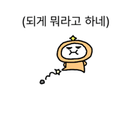 850600808