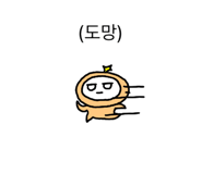 850600810