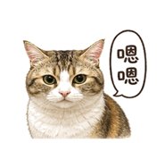 850601580