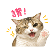 850601584