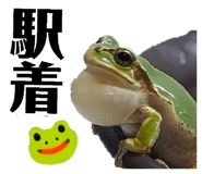 850604873
