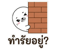 850608953
