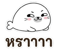850608955