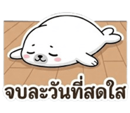 850608971