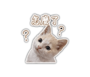 850620967