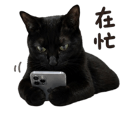 850623846
