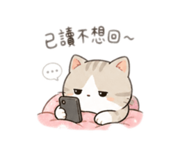 850628507
