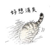 850634102