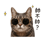 850652658