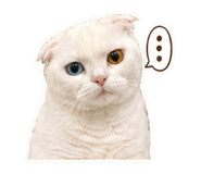 850653586