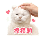 850653600