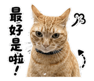 850655250