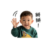 850665033