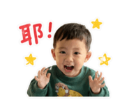 850665038