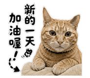 850669243