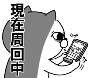 850674307