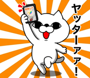 850674310