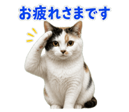 850675507