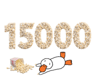 850679895