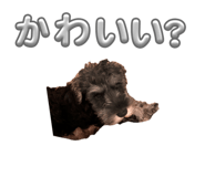 850680595
