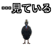 850683505