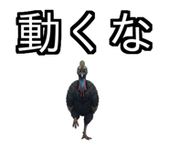 850683507
