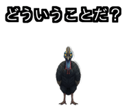 850683508