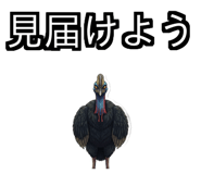 850683514