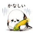 850683848